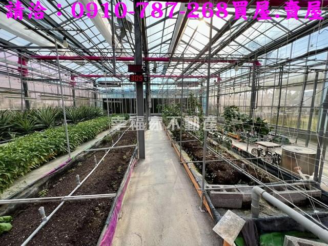 台南楠西農地-15