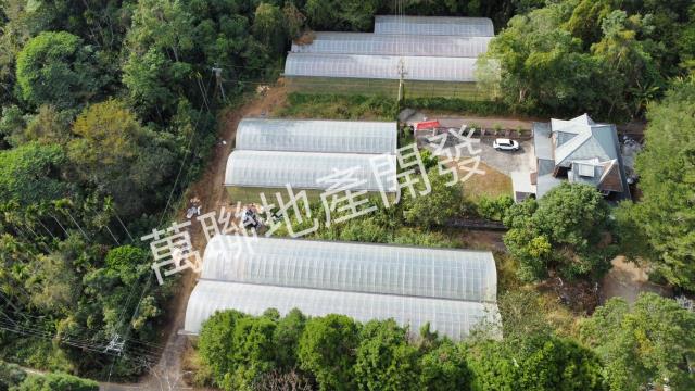 南投埔里山坡保育區林業用-11