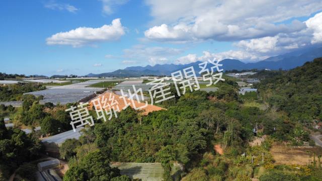 南投埔里山坡保育區林業用-13