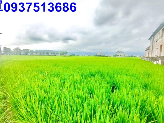 宜蘭宜蘭市農地-2