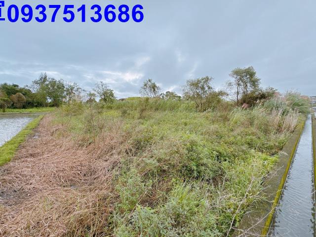 宜蘭宜蘭市農地-13