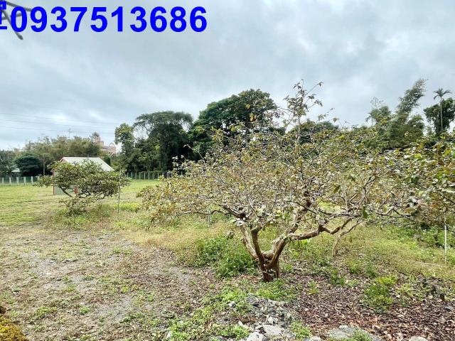 宜蘭頭城工業地-6