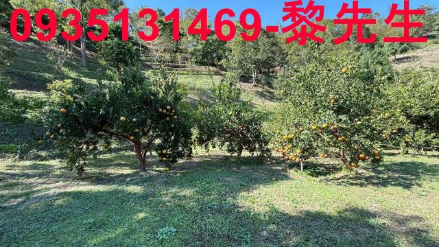 新竹峨眉農地-10