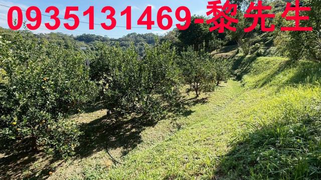 新竹峨眉農地-6