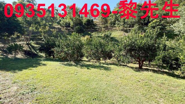 新竹峨眉農地-1