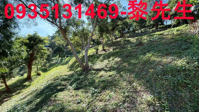 新竹峨眉農地-8