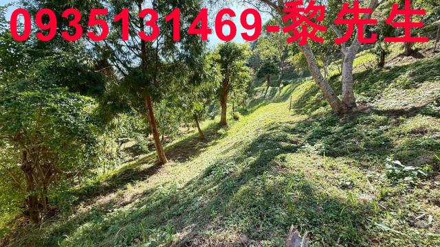 新竹峨眉農地-9