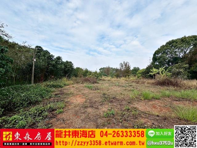 西屯農地-2