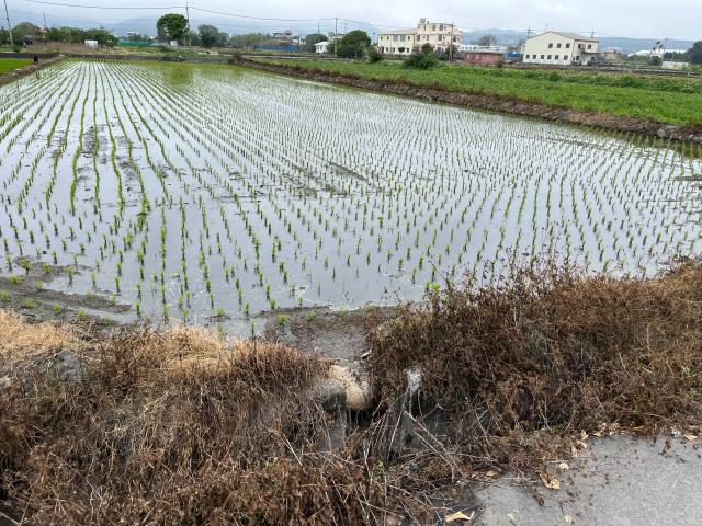 台中農地-6