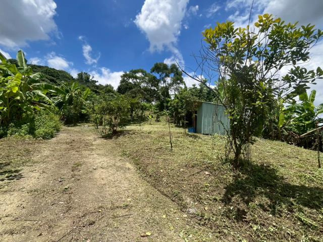 台中霧峰山坡地-11