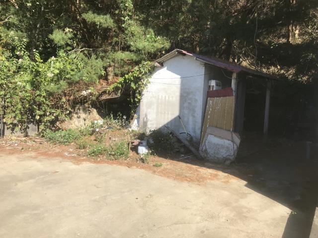 台中太平農地-1