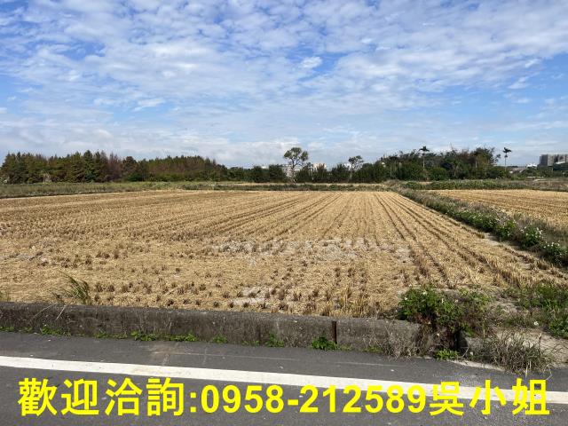 新竹新豐農地-10