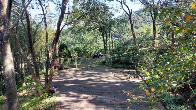 新竹橫山林地-5