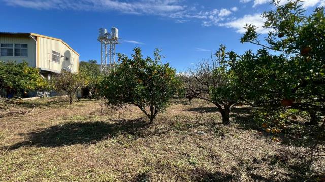 苗栗頭份農地-14