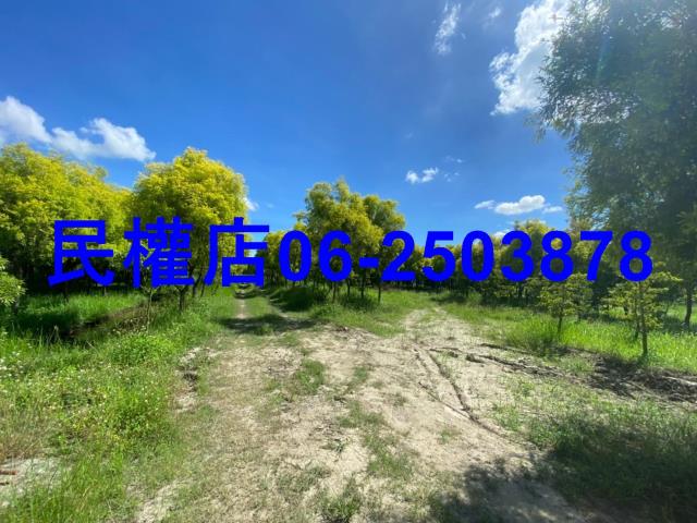 台南六甲農地-6