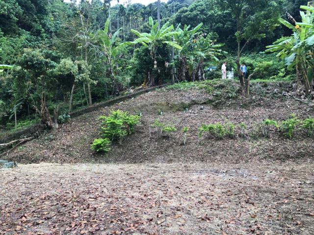 南投南投市農地-10