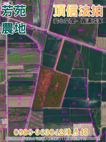 彰化芳苑農地法拍-3
