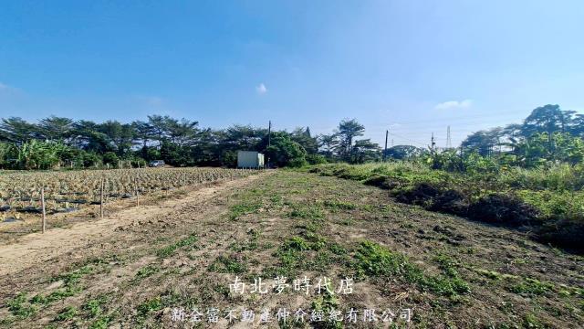新市農地-3