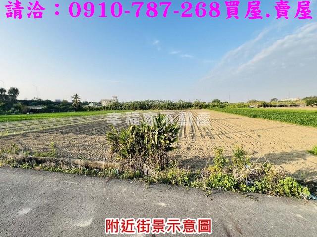 安定農地-5