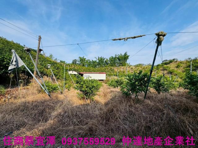 台南左鎮農地-6