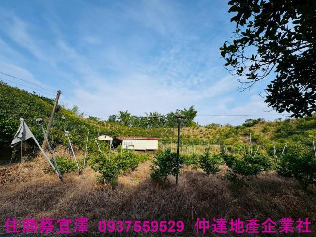 台南左鎮農地-8