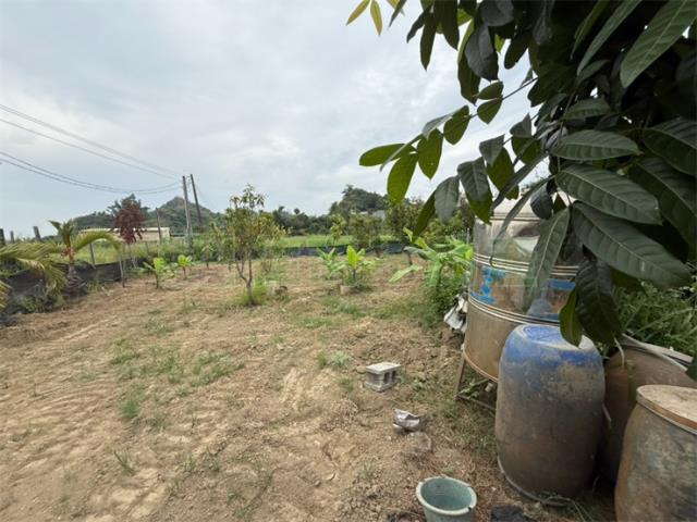 高雄大社農地-6