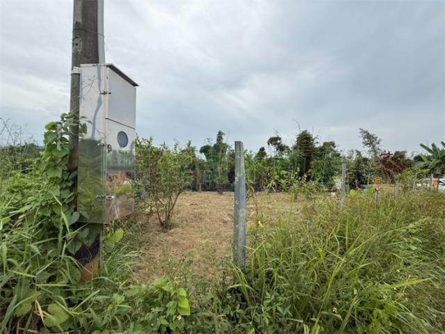 高雄大社農地-9