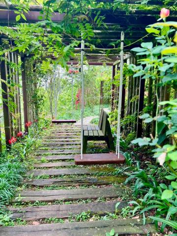 南投國姓農地-5