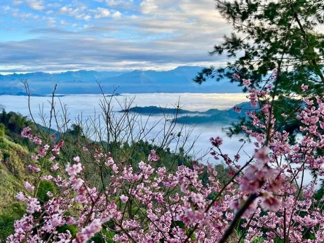 南投國姓農地-1