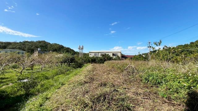 苗栗頭份農地-2