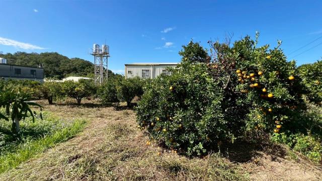 苗栗頭份農地-3