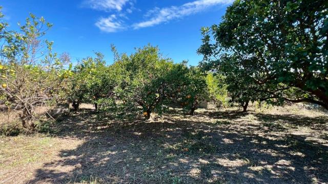 苗栗頭份農地-7