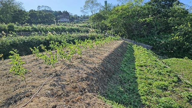 新竹北埔農地-2