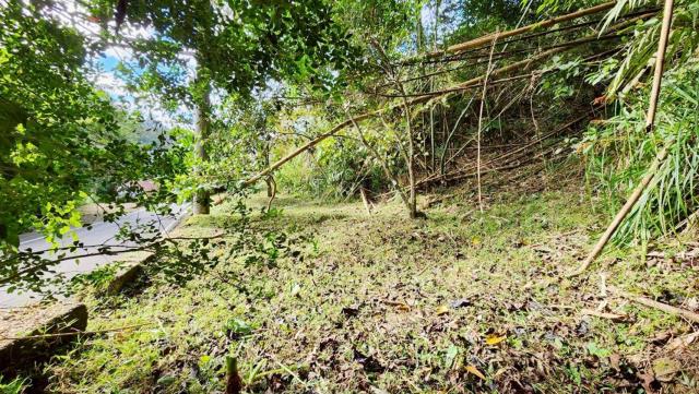 新竹北埔農地-8