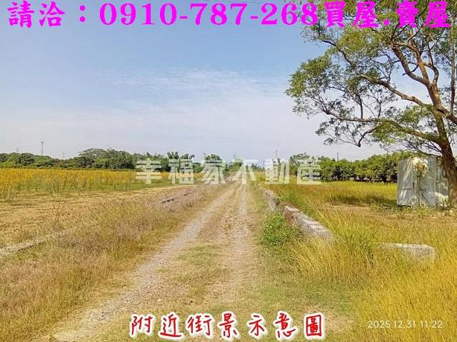 台南新市農地-2