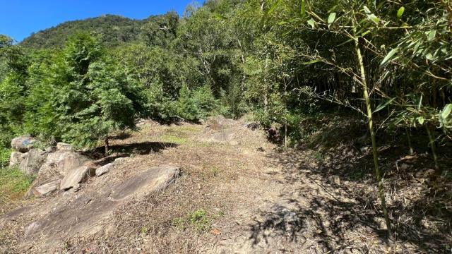 新竹尖石農地-13