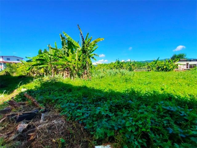 高雄內門建地-8