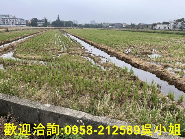 湖口農地-11