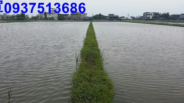 宜蘭礁溪農地-5