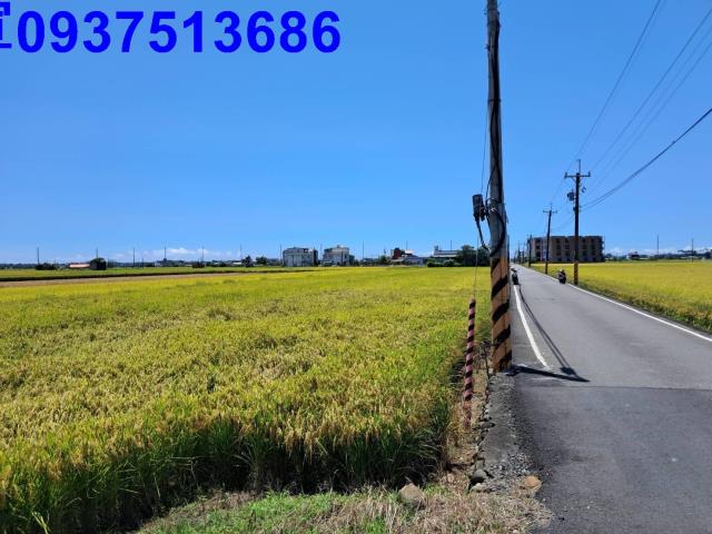 宜蘭壯圍農地-10