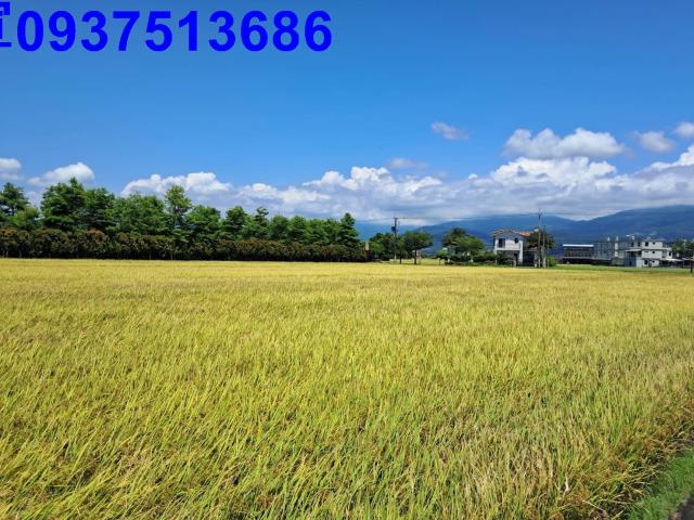 宜蘭壯圍農地-1