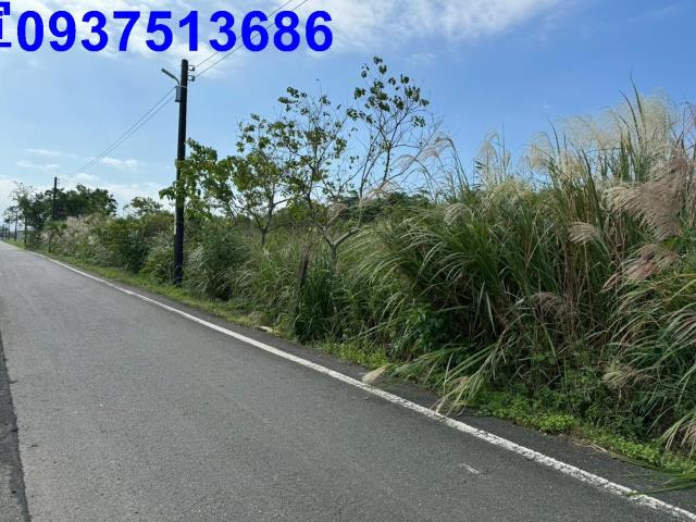 宜蘭壯圍農地-3