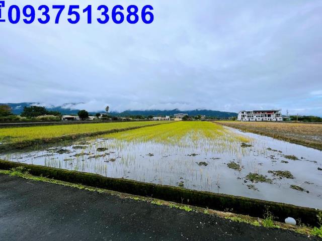 宜蘭三星農地-1