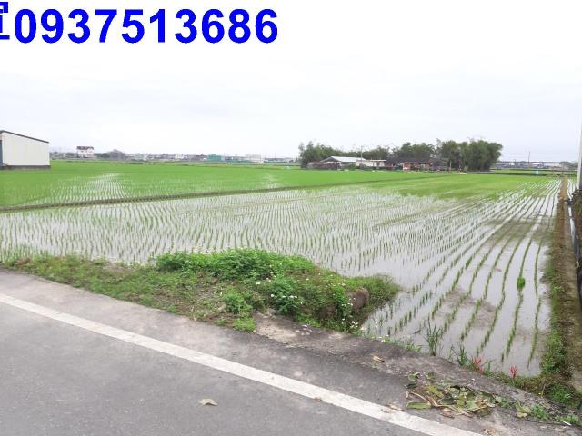 宜蘭礁溪農地-2