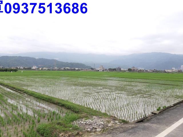 宜蘭礁溪農地-3