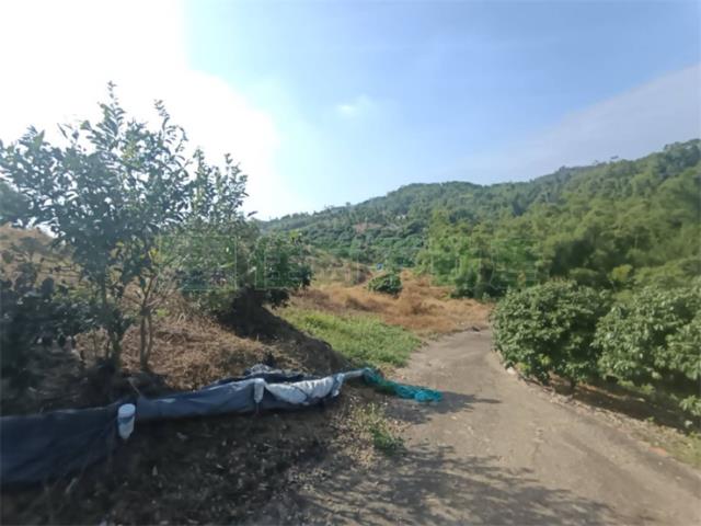 高雄大樹農地-15