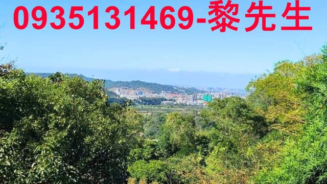 新竹橫山林地-9