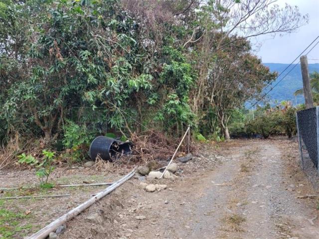 高雄六龜農地-2