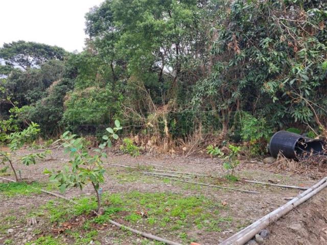 高雄六龜農地-4