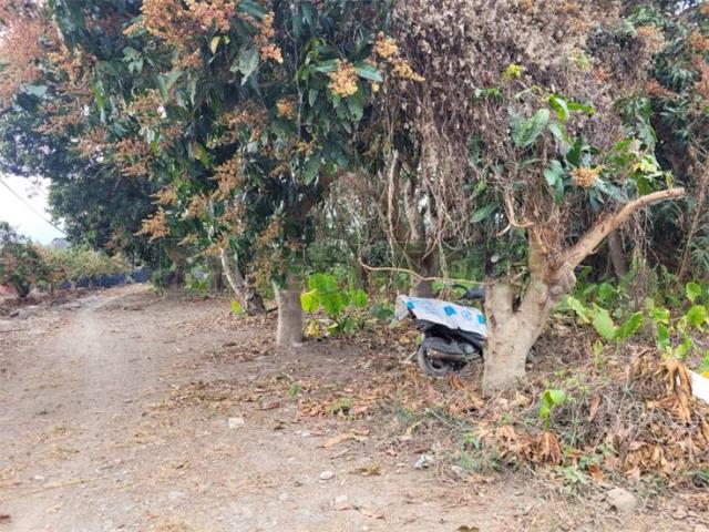 高雄六龜農地-9